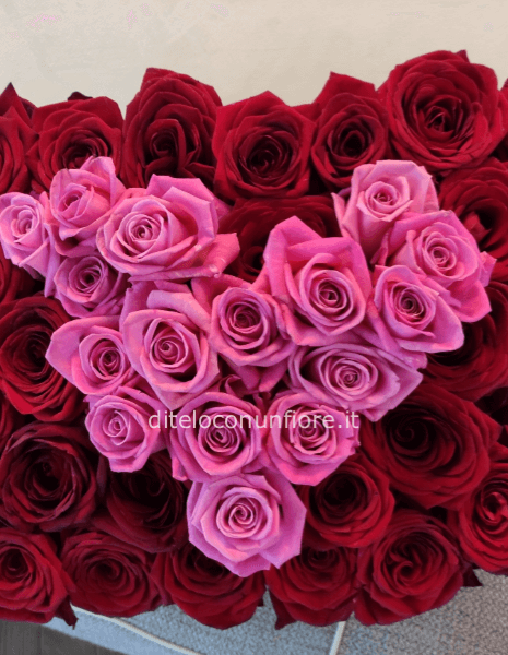 BOX GRANDE CUORE FANTASIA